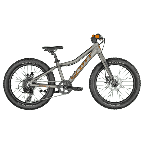 ROXTER 20 SILVER [太空銀]太空銀